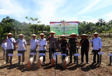 Dukung Program Pangan Nasional, Polres Lebong Tanam Jagung di Desa Sukau Kayo