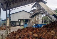 Pabrik Sawit Segera Beroperasi Pascalibur Lebaran, Catat Jadwalnya!