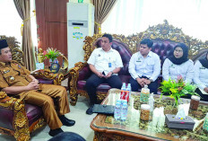 BGN Minta Dukungan ke Pemprov Bengkulu Perluas MBG Libatkan 142 SPPG di Bengkulu 