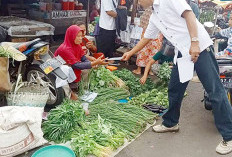 Ratusan PKL Ditertibkan, UPTD Pasar Panorama Bengkulu Sebarkan Surat Peringatan ke Pedagang 