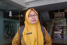 Pendaftar Lelang JPT Pratama Masih Minim, Baru Satu Peserta Rampungkan Administrasi