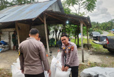 Polsek Manna Mengawal Jagung Petani Menjadi Kekuatan Pangan Bengkulu Selatan