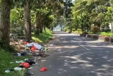  THL Dirumahkan, Pembuangan   Sampah di Kepahiang Terhambat  