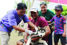 500 Dosis Vaksin Rabies, untuk Hewan Peliharaan Anjing,Kucing dan Kera di Kota Bengkulu 