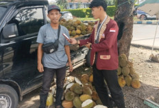 Musim Durian, Pedagang Kembali Bermunculan, Segini Harganya