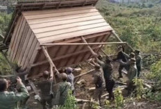 Sasar Habitat Gajah, Satgas Gakkum Lanjutkan Operasi Merah Putih di Mukomuko