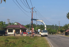 PLN ULP Manna Ingatkan Warga Utamakan   Keselamatan di Dekat Jaringan Listrik