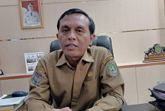 Pelamar PPPK  Tembus Segini