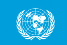 PBB Buka Lowongan Kerja dan Sukarelawan, Berikut Syaratnya