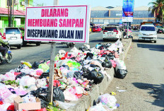 DLH Stop Angkut Sampah PTM, Ini Alasan Kepala DLH Kota Bengkulu 