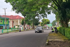  Target PAD Parkir di Rejang Lebong Rp 1,9 Miliar
