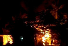 Rumah Warga Pulau Panggung Ludes Terbakar, Diduga Ini Pemicunya