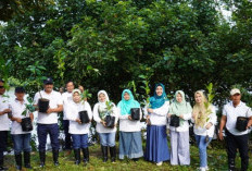 Peringati Hari Lingkungan Hidup Sedunia, BPN Kota Bengkulu Tanam 200 Pohon