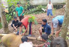 Idul Adha 1447 H, Mushola As Salam Kurban 1 Ekor Sapi dan Seekor Kambing