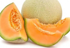 Bisa Dicoba, Diet Sehat Turunkan Berat Badan Dengan Melon