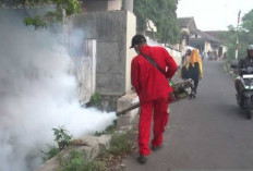 Tekan Penyebaran DBD, Pemkab Mukomuko Tambah Anggaran Fogging