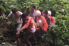 Avanza Terjun ke Jurang,  1 Orang Meninggal, Begini Kronologinya