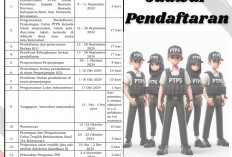 Perekrutan Pengawas TPS Pilkada Serentak 2024 di Seluma Dibuka, Berikut Tahapan Lengkapnya