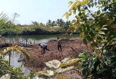 Pengurus Masjid Ditemukan Mengapung di Sungai, Diduga Meninggal Karena Ini