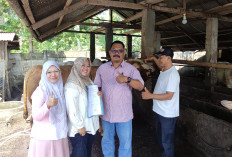 Jelang Idul Adha 2025, Kesehatan Hewan Kurban Mulai Diperiksa, Ini Tujuannya