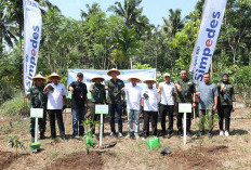 BRI Cabang Manna Hijaukan Lingkungan di 3 Kabupaten Ini 