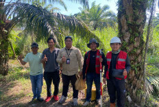 Tim KKP Cek Topografi Lahan KNMP, Kungkai Baru Diusulkan Kampung Tematik Budidaya