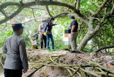 Warga Desa Pengubaian Gempar, Pemuda Kaur Ditemukan Tewas Tergantung