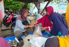  Harga Beras Mulai Dikeluhkan, Sebab Naik Terus..