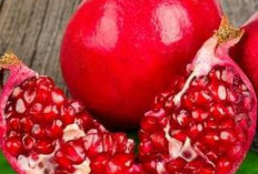 Kaya Akan Manfaat, 8 Khasiat Buah Delima Untuk Kecantikan 