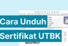 Wajib Tahu, 6 Manfaat Sertifikat UTBK SNBT dan Begini Cara  Mengunduhnya 