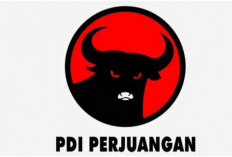 PDIP Pecat 27 Kader, Berikut Nama-namanya Beserta Kesalahannya