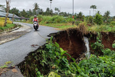 BPBD Rencanakan Perbaikan Titik Longsor, Di Sini Lokasinya untuk di Kabupaten Kepahiang