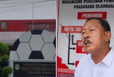 Harapan Pupus di Depan Mata, Mengabdi 11 Tahun  dan  Lulus PPPK, Honorer Bengkulu  Batal  Dilantik 