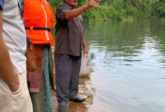 Desa Taba Lubuk Puding  Butuh Bantuan BTS Internet