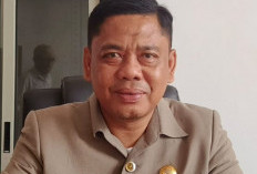 Sekda Pastikan Honorer R4   Kaur Tetap Lanjut Kerja