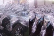 Program MBG Kembali Disorot:  Ribuan  Armada Motor Listrik  Untuk Program MBG Viral 