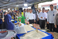 Hilirisasi Pertanian Perkuat Ketahanan Pangan, Ketua DPD RI Sultan B Najamudin Jelaskan Dorong Ekonomi Tumbuh