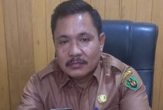  Begini Seleksi Penerima Alsintan di Bengkulu Selatan 