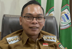 Pemkab Seluma Siapkan   14 Unit Alat Berat, untuk Percepatan Pembangunan dan Tanggap Bencana