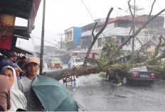 Hujan Lebat Disertai Angin Kencang Melanda, Pohon Tumbang Timpa Mobil di Pasar Atas Curup
