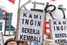 PHK Masih Mengintai, Hingga April 2025 Kemenaker Ungkap 24.036 Orang Kehilangan Kerja