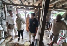 Perkuat Sinergi, BULOG Rejang Lebong dan Dinas Pertanian Lebong Optimis Target Serapan Gabah Tercapai