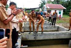 Panen Raya Lele BUMDes Bandu Agung Sukses Besar