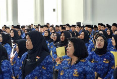  PPPK Bengkulu Masih Terima Gaji Honorer, Belum Terima Gaji PPPK Ini Penyebabnya 