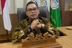 Teddy Rahman Kurban 6 Ekor Sapi untuk Warga, Pemda Seluma 3 Ekor