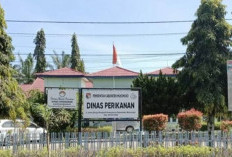 Sektor Laut Tak Boleh Stagnan, Pemkab Mukomuko Segera Tunjuk Plt Kepala Dinas Perikanan