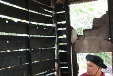 Kebakaran Rumah di Sungai Pura, Kerugian Ditaksir Rp50 Juta