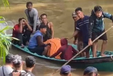  Setelah 2 Hari Pencarian, Jasad Lansia yang Diterkam Buaya Ditemukan dengan Kondisi Mengenaskan