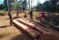 Material Kayu Telah Tiba, Satgas TMMD Ke-124  Kodim 0408/BS Siap untuk Membangun Jembatan