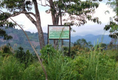 298 Tanah Belum Bersertifikat, Rawan Diserobot Plt BKD Lebong Targetkan Semua Aset Pemkab Lebong Bersertifikat